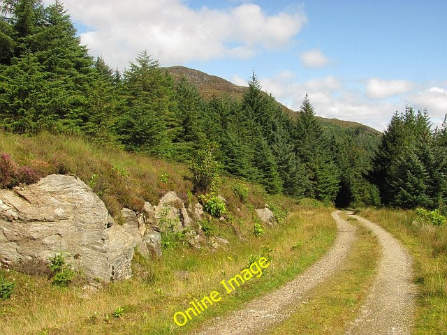 Photo 6x4 Forest road, Ardgoil Portincaple Main logging road running down c2010