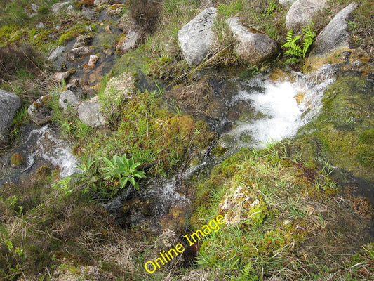 Photo 6x4 Mossy area along Allt Coire na L\u00c3\u00a0rach Allt Coire na  c2010