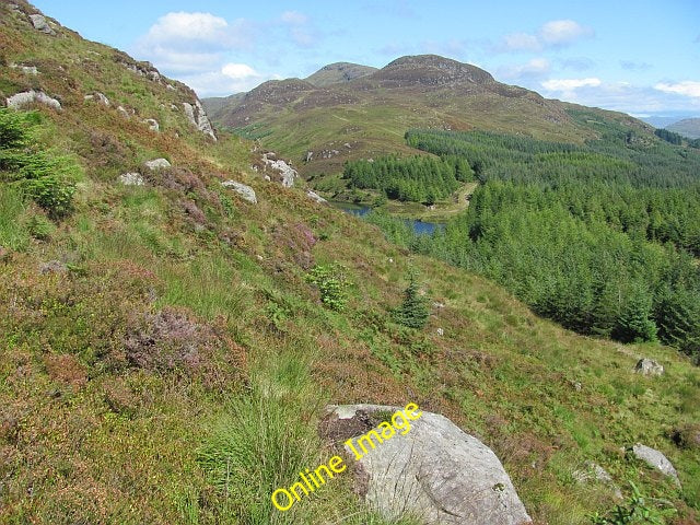 Photo 6x4 Clach Bheinn hillside Carrick Castle View northwards past the C c2010