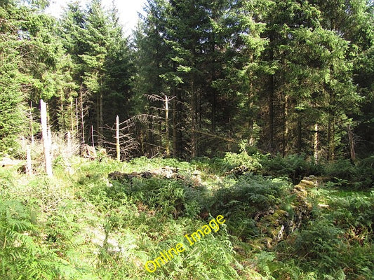 Photo 6x4 Ruined walls, Guana Sr\u00f2n Mallanach There was a house here  c2010