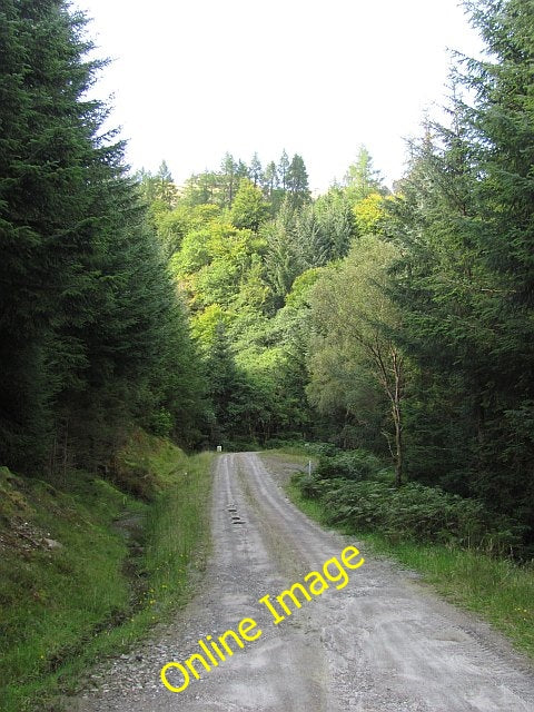 Photo 6x4 Approaching the Allt a' Guanan Sr\u00f2n Mallanach Beeches mark c2010