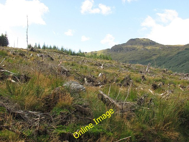 Photo 6x4 Coilessan Glen Ardgartan Large clear felled area in the Coiless c2010