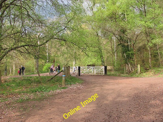 Photo 6x4 White Gates Worrall Hill The Severn and Wye Railway, now a fore c2010