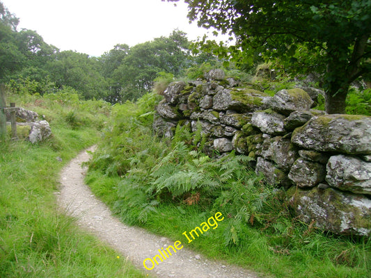 Photo 6x4 West Highland Way at Pollochro Inveruglas Looking south along t c2010