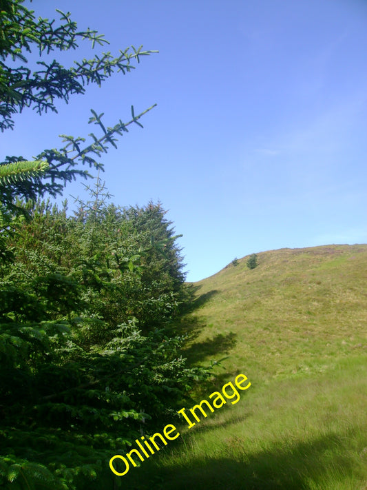 Photo 6x4 Plantation on Clachaig Hill Clachaig\/NS1181 Upper edge of a Fo c2010