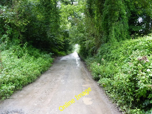 Photo 6x4 Dismantled railway in The Gorge Sutton Hall\/SJ7101 The route o c2010