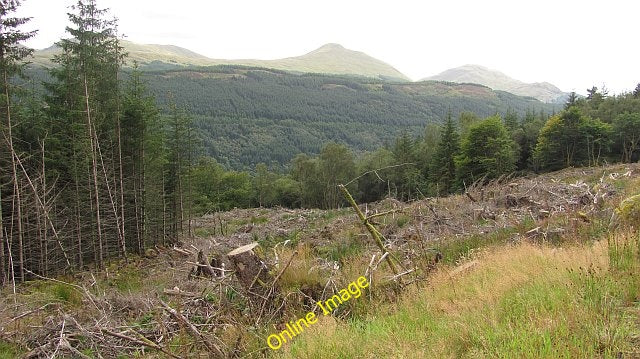 Photo 6x4 Felled area, Coilessan Ardgartan A clear felled section of fore c2010