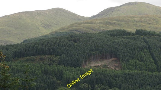 Photo 6x4 Felled area, Craggan Hill Ardgartan A clearing in the dense for c2010