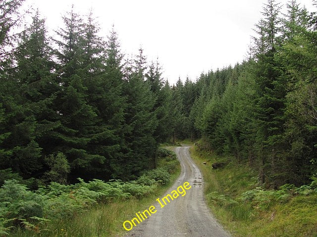 Photo 6x4 Logging road, Ardgoil Ardgartan The main route out of the fores c2010