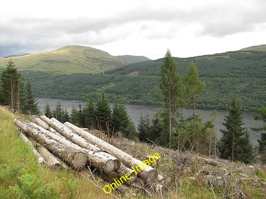 Photo 6x4 Clear felled area, Ardgoil Ardgartan Cleared area of forest abo c2010