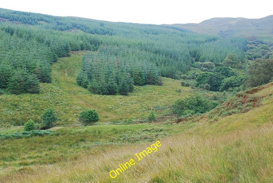 Photo 6x4 Forestry in Gleann d\u00c3\u00a0 Leirg Inverneill Looking acros c2010