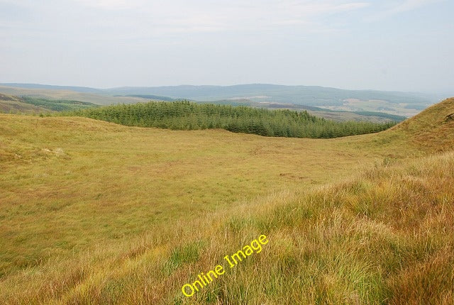 Photo 6x4 Forest block west of Meall Dubh Inverneill Looking downhill acr c2010