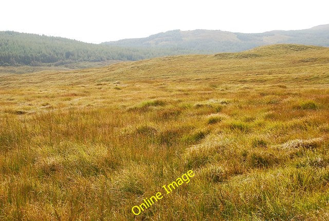 Photo 6x4 Moorland view Artilligan Burn The Ardtalligan Burn runs between c2010