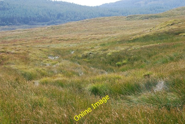 Photo 6x4 Moorland burn Artilligan Burn The boggy start of a small burn r c2010