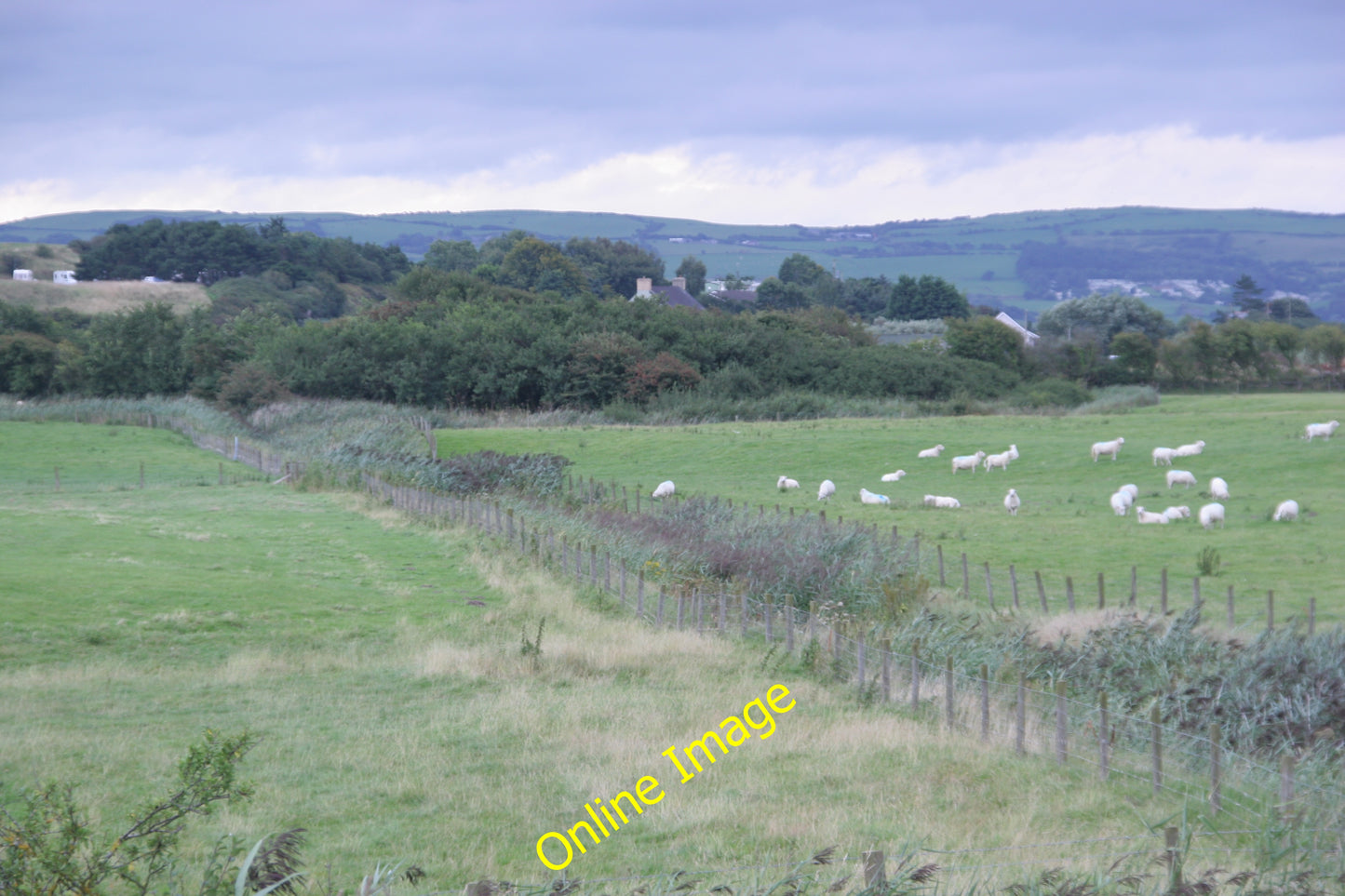 Photo 6x4 Looking inland Llancyfelyn A view across the railway line towar c2010