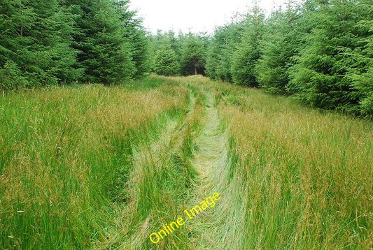 Photo 6x4 Forest ride Inverneill Looking up a route that is used by ATVs. c2010