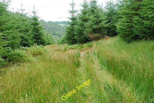 Photo 6x4 Forest ride Inverneill Looking downhill towards Stronachullin. c2010