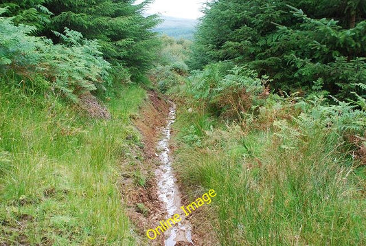 Photo 6x4 Land drain in the forest Inverneill  c2010