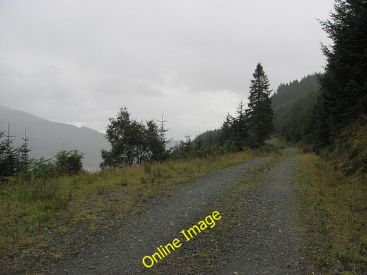 Photo 6x4 Forest road above Loch Long Sr\u00f2n Mallanach The main loggin c2010