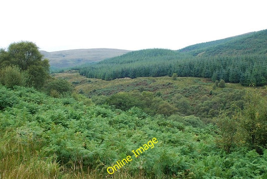 Photo 6x4 Forest view Inverneill Looking up the valley of the Stronachull c2010