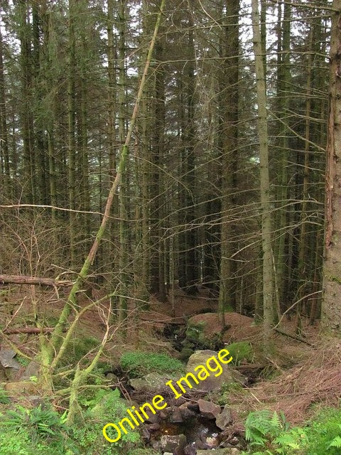 Photo 6x4 Burn, Ardgoil Portincaple Burn running through woodland near to c2010