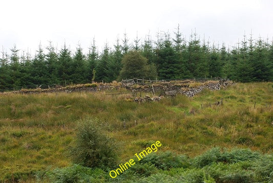 Photo 6x4 Disused lead mine Inverneill I didn&#039;t explore any closer,  c2010