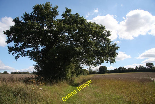 Photo 6x4 Footpath to Ashen Ashen\/TL7442 Two paths lead to the village o c2010