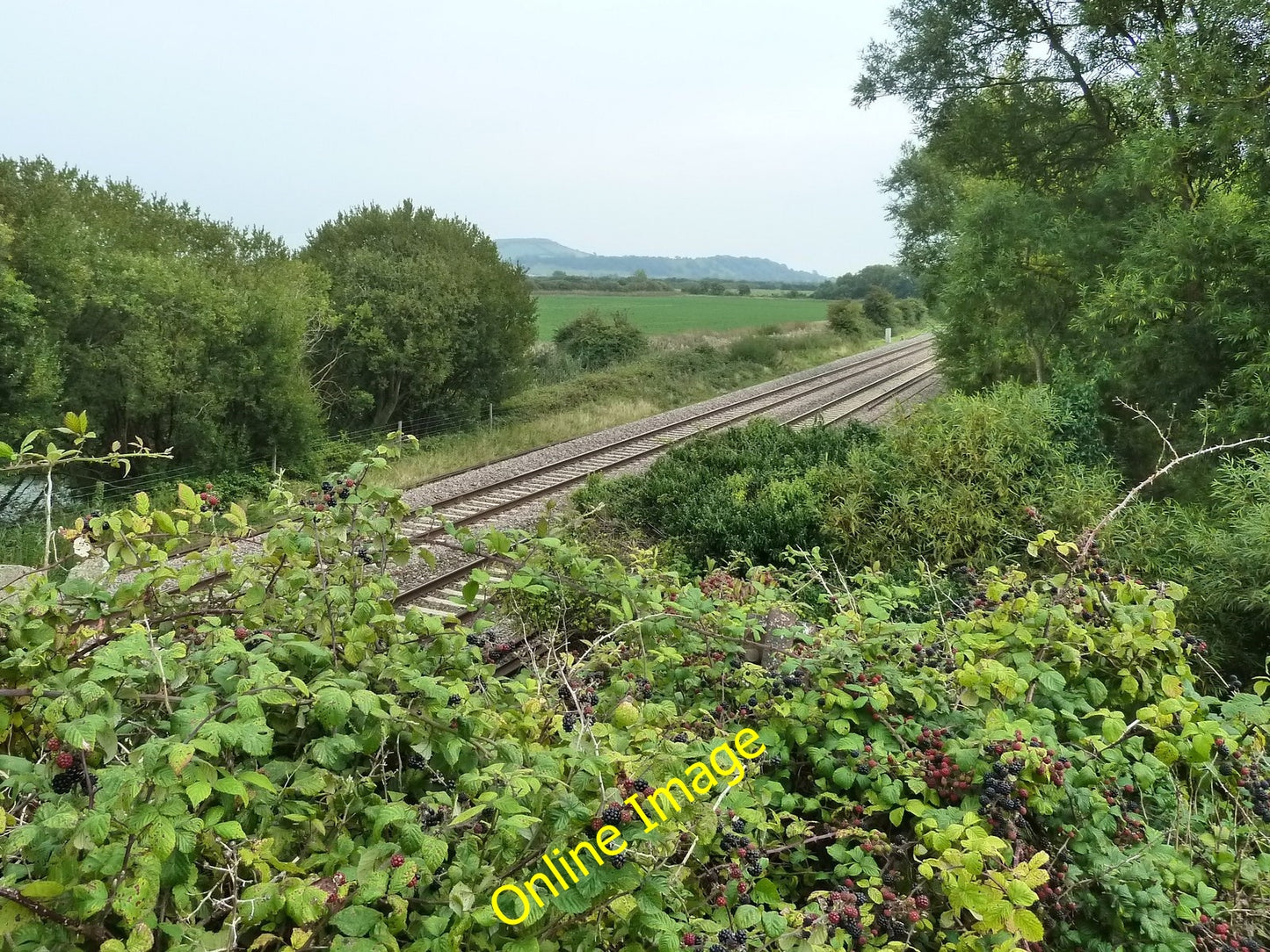 Photo 6x4 Railway line - with blackberries to pick Batch ...and I picked  c2010