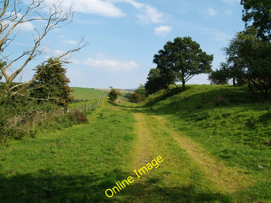 Photo 6x4 Along the old railway near Buittle Station. Hardgate\/NX8166  c2010