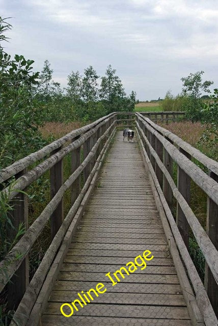 Photo 6x4 Footbridge Across a Boggy Bit Wickford This footbridge in [[205 c2010