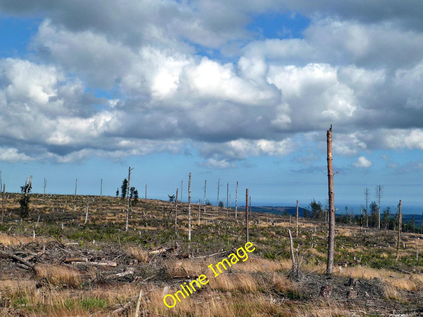 Photo 6x4 Deforestation, Hutton Lowcross Woods Hutton Village Unsightly r c2010