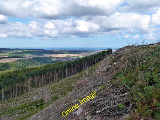 Photo 6x4 Deforestation, Hutton Lowcross Woods Hutton Village Close to th c2010