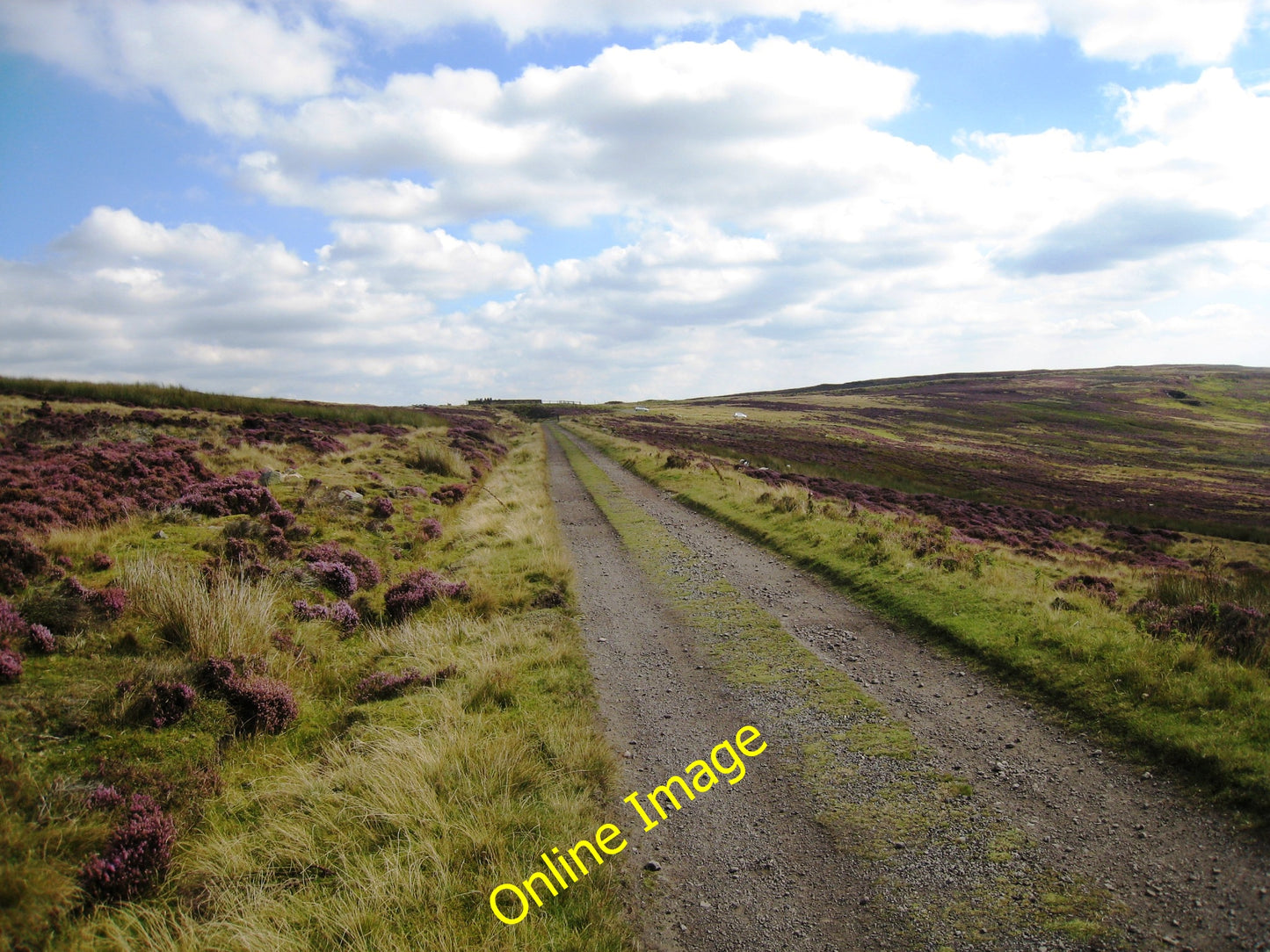 Photo 6x4 Dismantled railway track near Pannierman's Spring Church Houses c2010