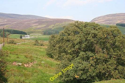 Photo 6x4 Glascorrie in Glen Lethnot Mill Burn\/NO4773 Glascorrie enjoys  c2010