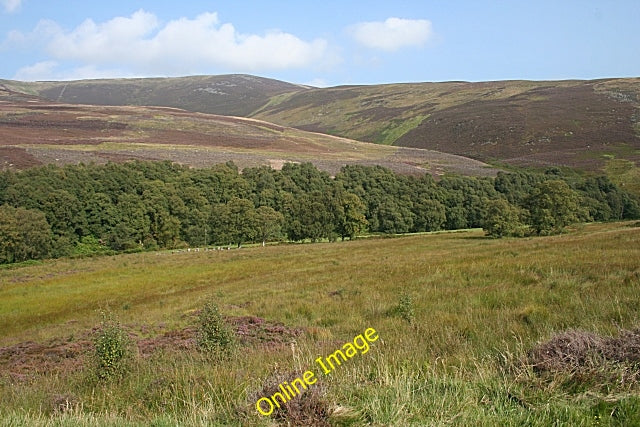 Photo 6x4 Glen Lethnot Stonyford\/NO5072 The trees in the middle of this  c2010