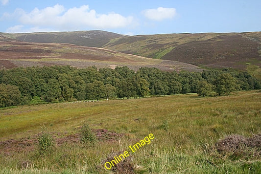 Photo 6x4 Glen Lethnot Stonyford\/NO5072 The trees in the middle of this  c2010