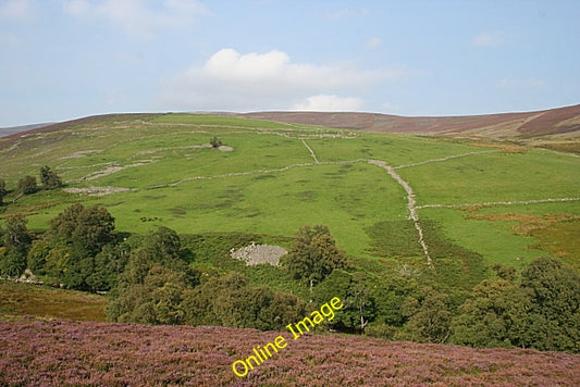 Photo 6x4 Abandoned Fields Bridgend\/NO5368 The bright green grass of imp c2010