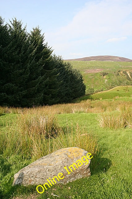 Photo 6x4 Glen Lethnot Bridgend\/NO5368 A convenient gap in the forestry  c2010