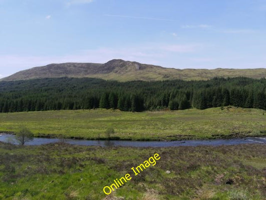 Photo 6x4 Strip of Woodland on the Slopes of Ben Inverveigh Bridge of Orc c2009