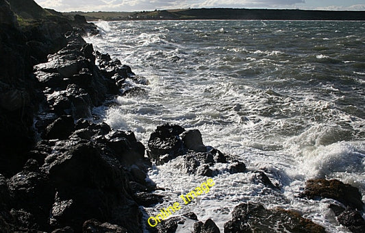 Photo 6x4 A Gurly Sea Inverkeilor &#039;Gurly&#039; is an expressive Scot c2010