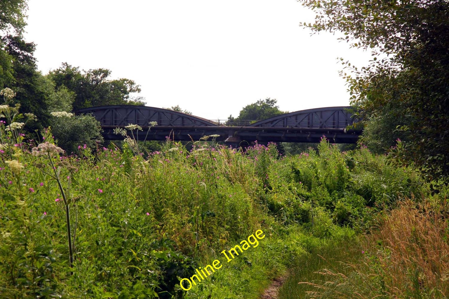 Photo 6x4 Railway bridge over the Thames Radley\/SU5298  c2010