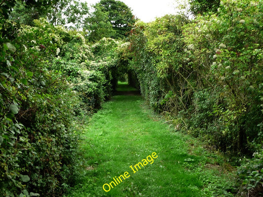 Photo 6x4 Footpath crossing disused railway Singleton\/SU8713  c2010