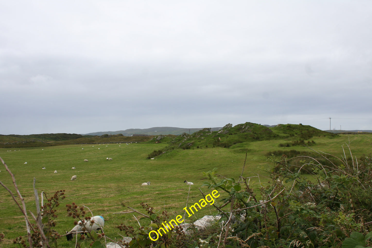 Photo 6x4 Rocks and Pasture Laphroaig Sheep grazing pasture land by Port  c2010