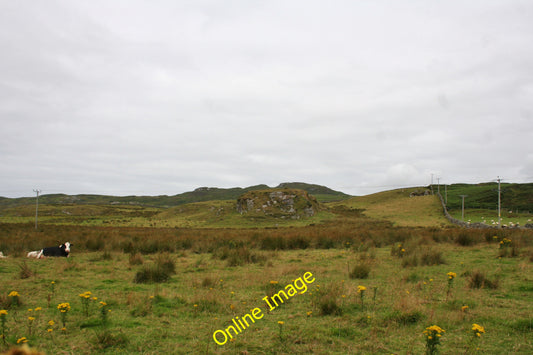 Photo 6x4 Wet Grazing by Port Ellen Laphroaig Cattle grazing in a rocky f c2010