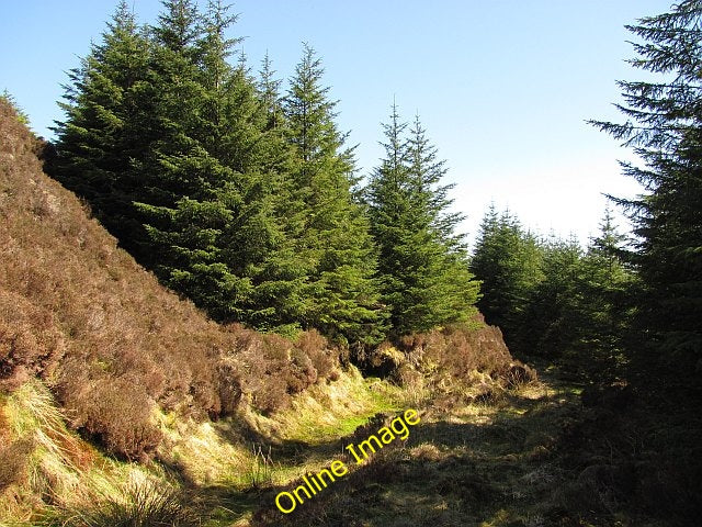 Photo 6x4 Track to Cnoc an Tobair Whitehouse\/NR8161 Track running throug c2010