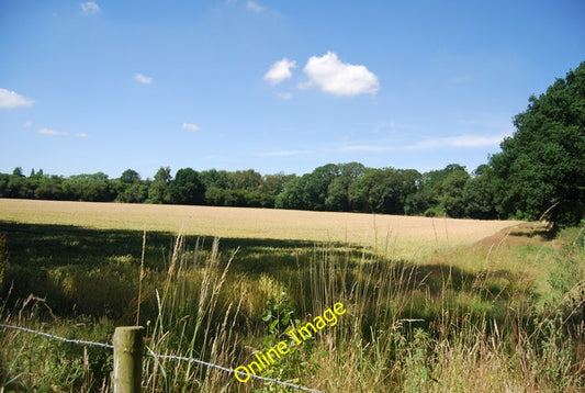 Photo 6x4 Field south of Leybourne Grange Ryarsh  c2010