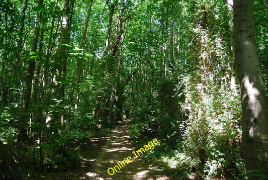 Photo 6x4 Footpath, Little Ryarsh Wood  c2010