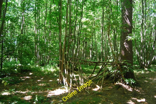 Photo 6x4 Hide, Little Ryarsh Wood A rather flimsy looking structure that c2010