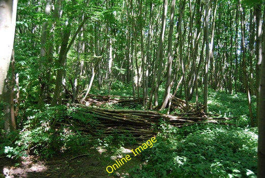 Photo 6x4 A small coppiced enclosure, Little Ryarsh Wood  c2010