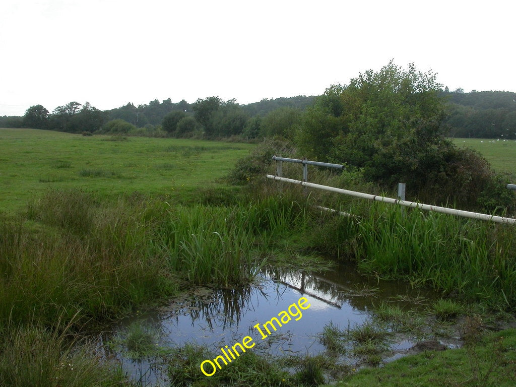 Photo 6x4 Wareham Common, ditch Forming the boundary between sloping gras c2010